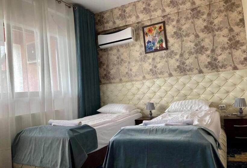 בית מלון כפרי A3