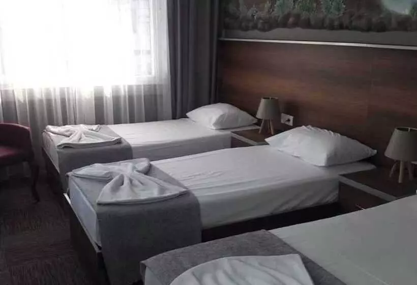Hotel Astopia