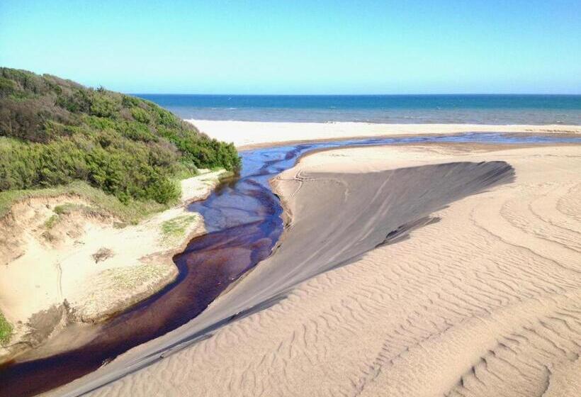 호텔 Boutique America