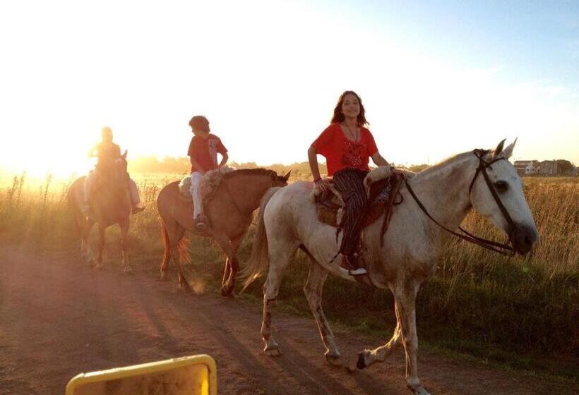 호텔 Boutique America