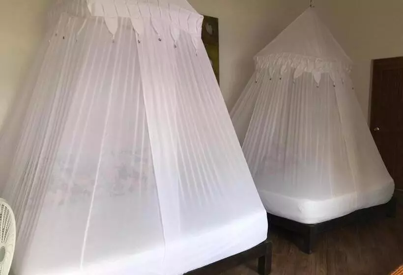 Hotelli Buda Mar Zipolite