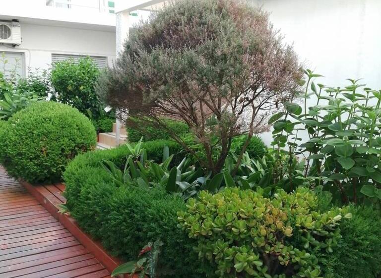 Отель Centenario