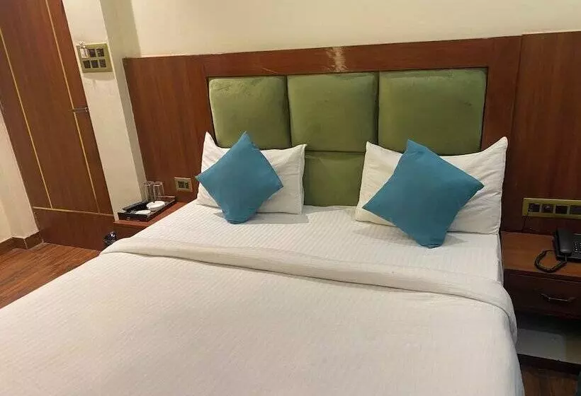 Hotelli Ramesh Palace