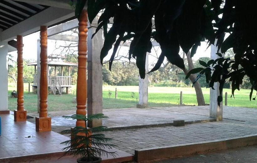 酒店 Willpattu Wild Watch