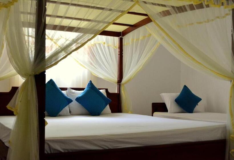 酒店 Willpattu Wild Watch