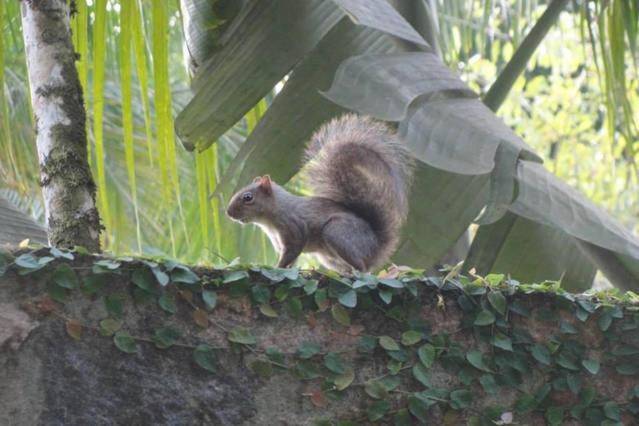 پانسیون Hospedaria Lar Sagrado Arco íris