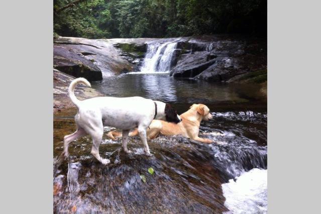 پانسیون Hospedaria Lar Sagrado Arco íris