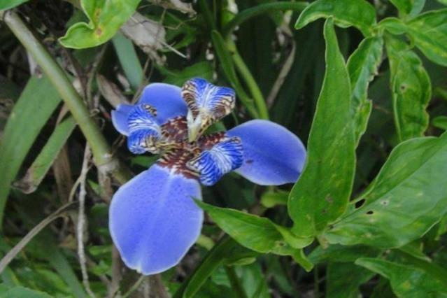 پانسیون Hospedaria Lar Sagrado Arco íris