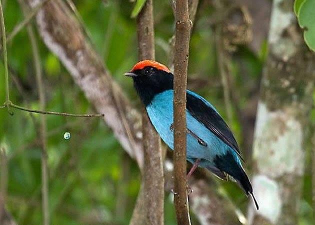 پانسیون Hospedaria Lar Sagrado Arco íris