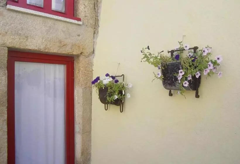 ペンション Palheiro Do Castelo   Pátio