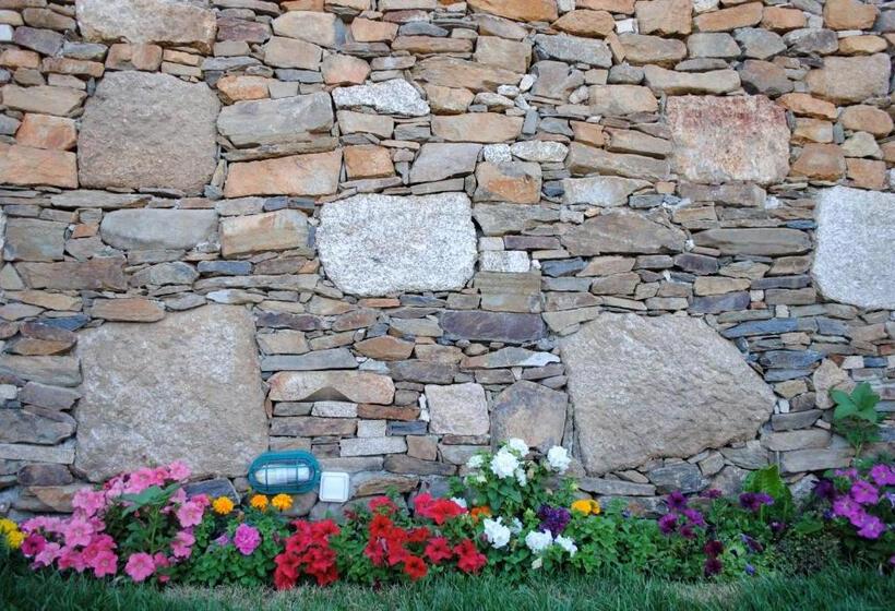 بنسيون Palheiro Do Castelo Pátio