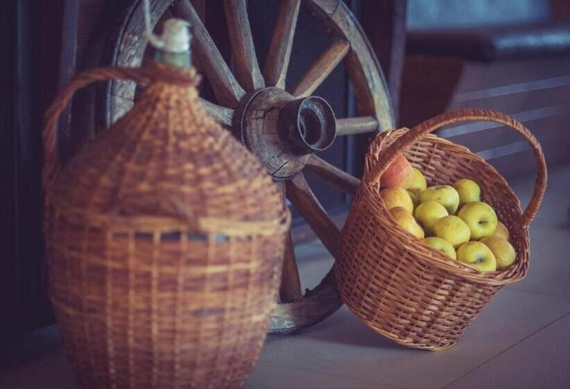 منتجع Complex Jitari