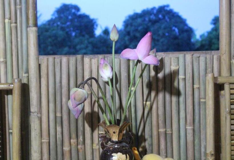 استراحتگاه Tra Vinh Lodge