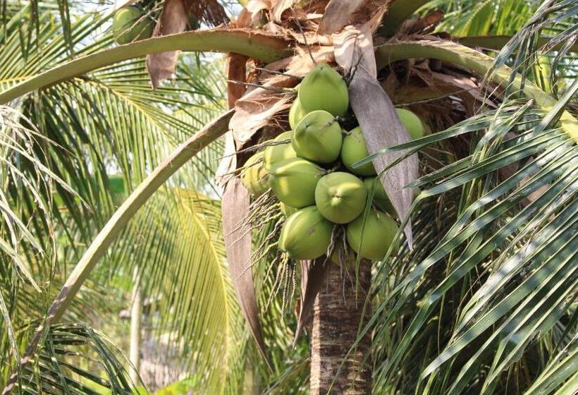 استراحتگاه Tra Vinh Lodge