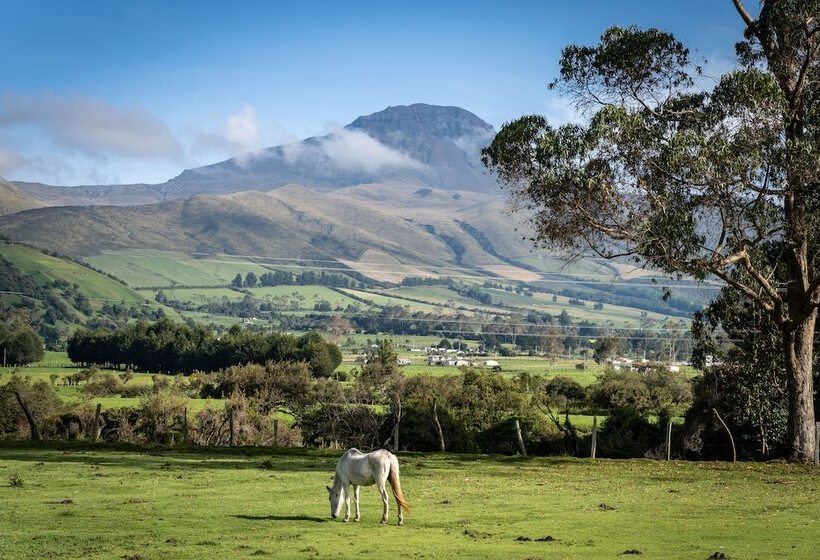 Hotel Ilinizas Mountain Lodge