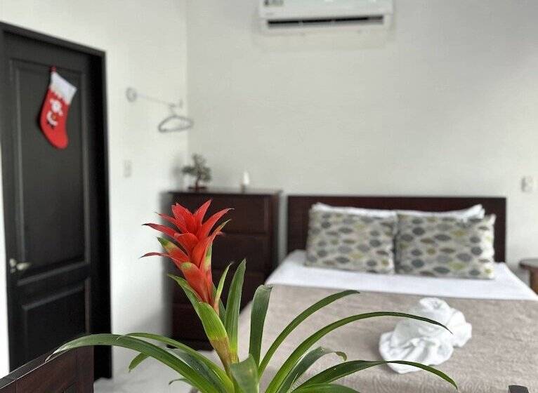 هتل Serendipity Tortuguero