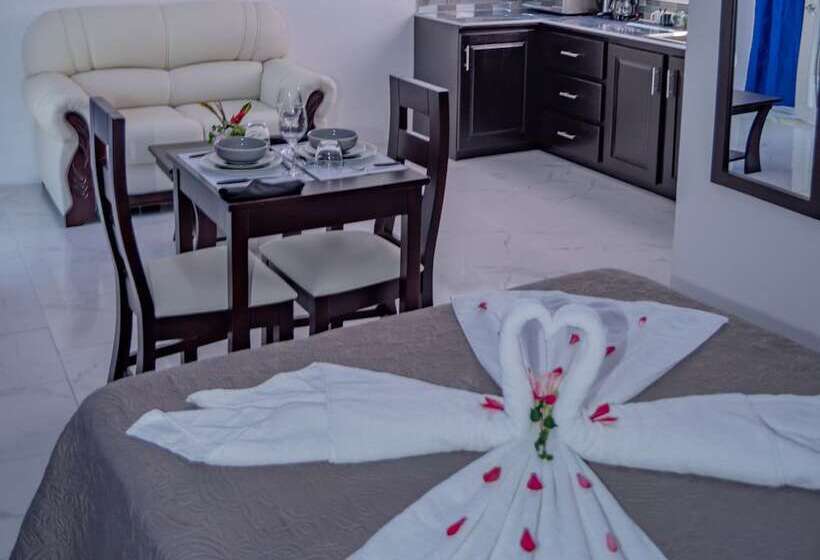 هتل Serendipity Tortuguero