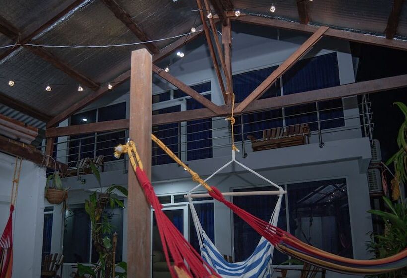 هتل Serendipity Tortuguero