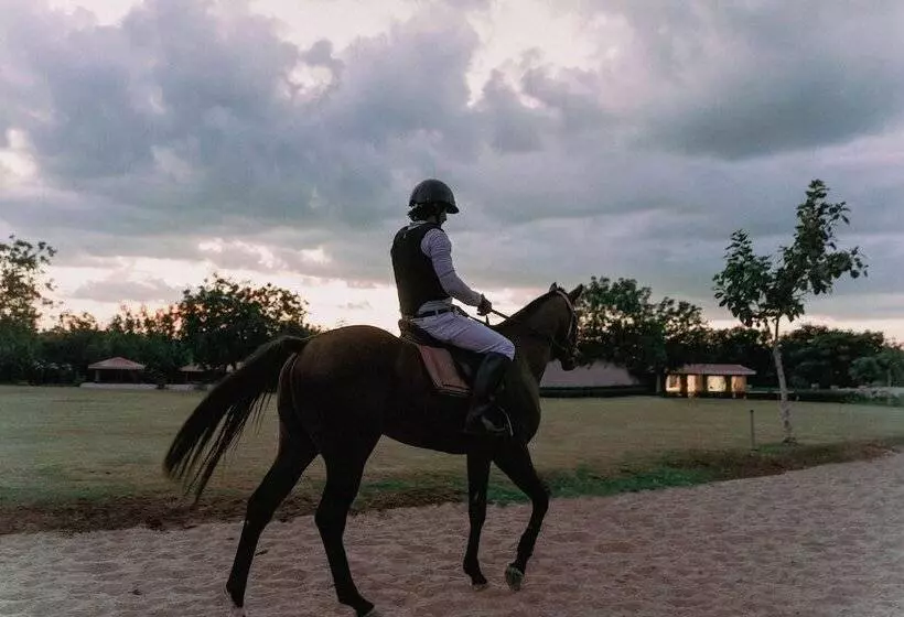 リゾートホテル The Hamlet