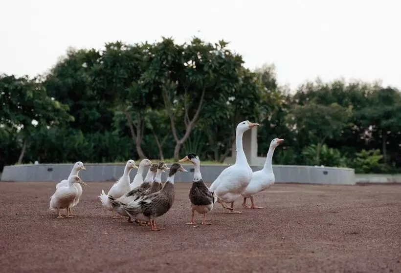 リゾートホテル The Hamlet