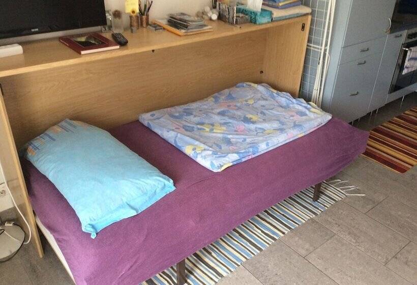 酒店 Apartment Alina