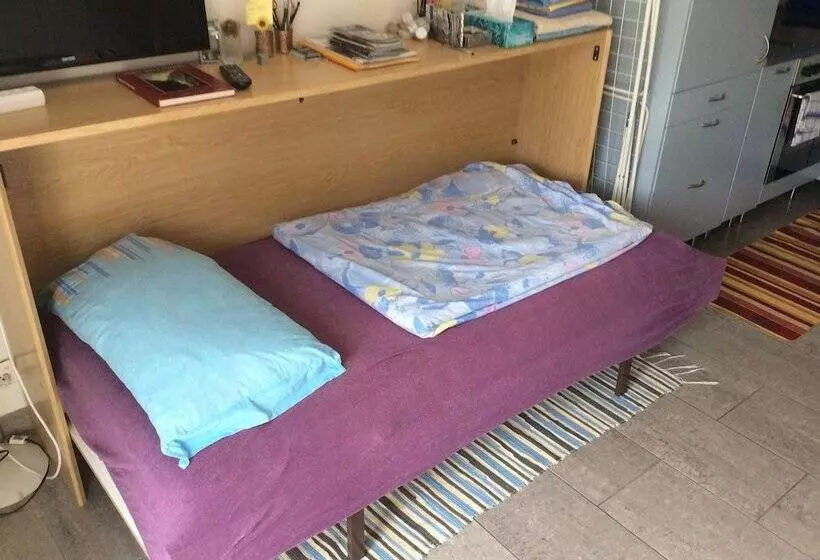 ホテル Apartment Alina