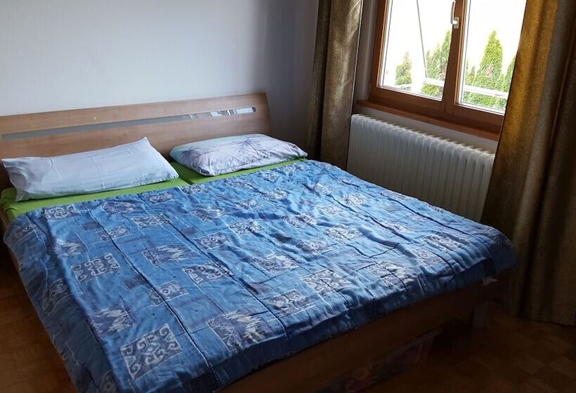 酒店 Apartment Alina