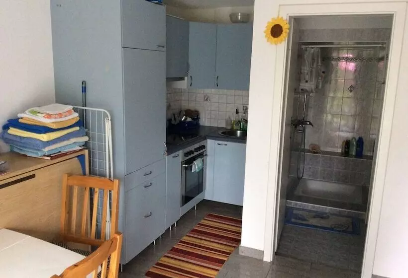ホテル Apartment Alina