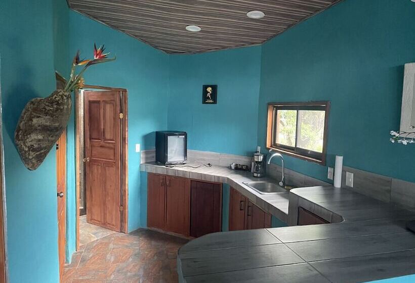 فندق La Perla Negra