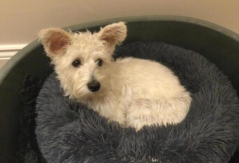 בית מלון כפרי Stack Yard Cottage