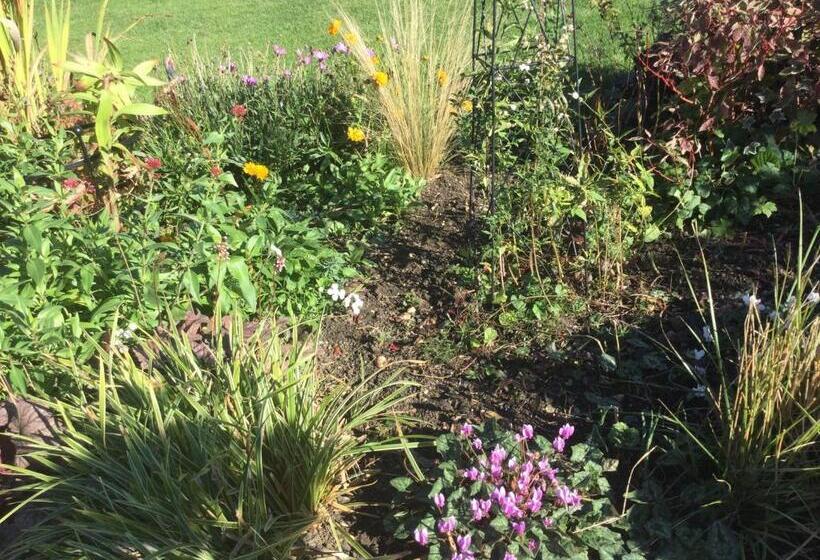 בית מלון כפרי Stack Yard Cottage