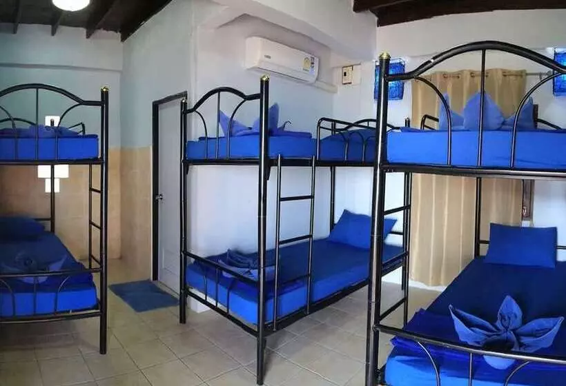 ペンション Asia Blue   Beach Hostel Hacienda   Bed In 4 Bed Dormitory Room