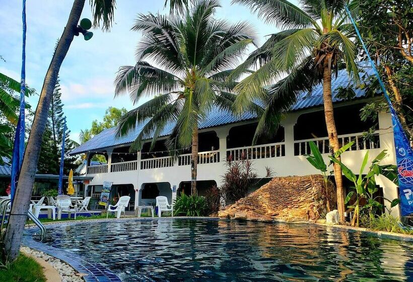 פנסיון Asia Blue   Beach Hostel Hacienda   Bed In 4 Bed Dormitory Room