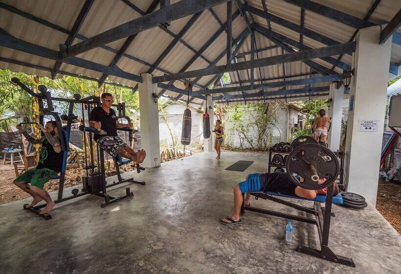 פנסיון Asia Blue   Beach Hostel Hacienda   Bed In 4 Bed Dormitory Room