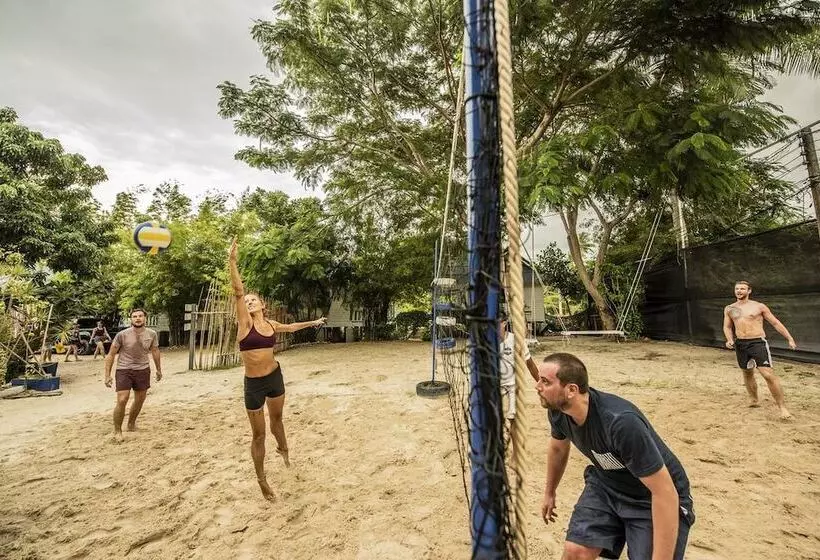 ペンション Asia Blue   Beach Hostel Hacienda   Bed In 4 Bed Dormitory Room