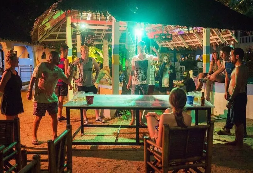 ペンション Asia Blue   Beach Hostel Hacienda   Bed In 4 Bed Dormitory Room