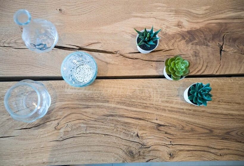 Résidence Saint Cyprien Plage