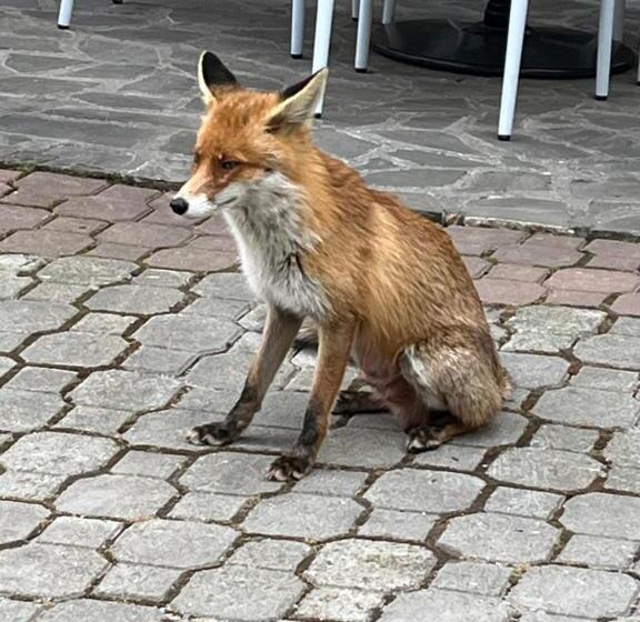 Casa Iris Hotel & Restaurant