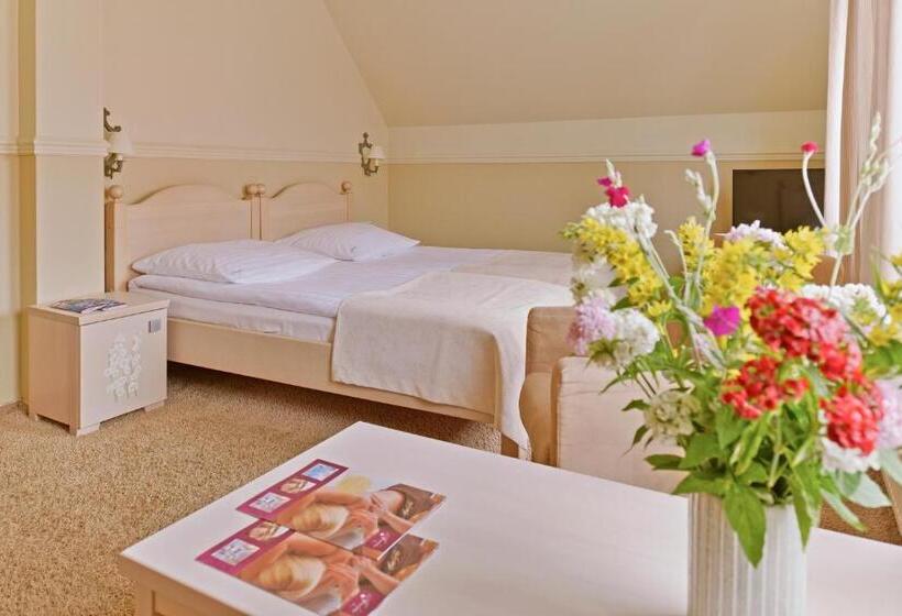 Отель Afrodyta Spa & Wellness Resort