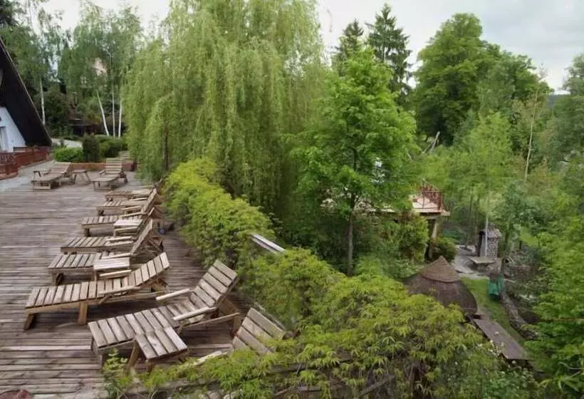 ホテル Afrodyta Spa & Wellness Resort