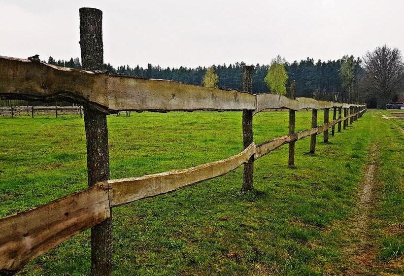Hotel Agroturystyka Pod Modrzewiami