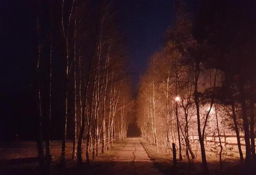 Hotel Agroturystyka Pod Modrzewiami