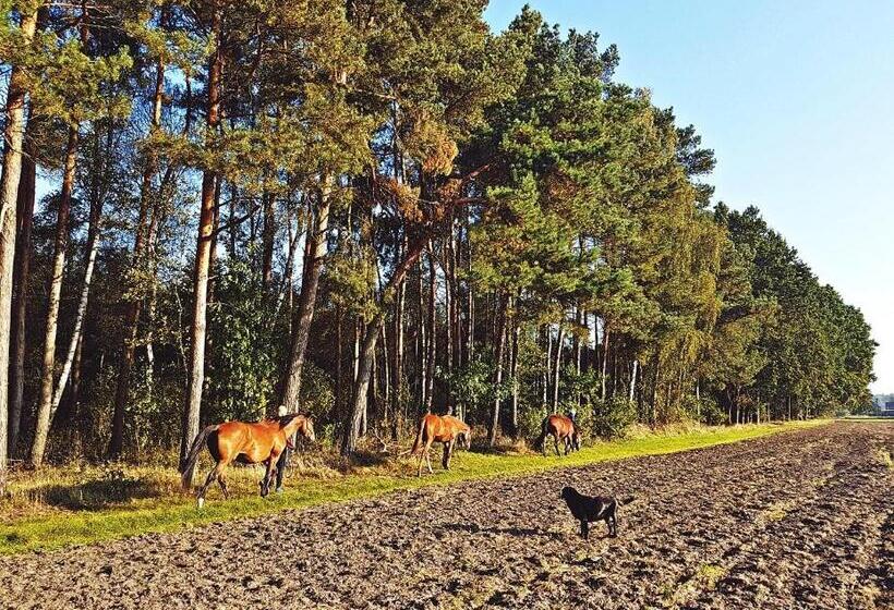 Hotel Agroturystyka Pod Modrzewiami