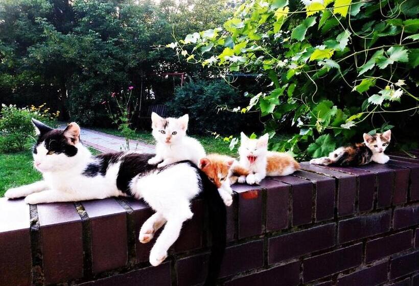 Hotel Agroturystyka Pod Modrzewiami