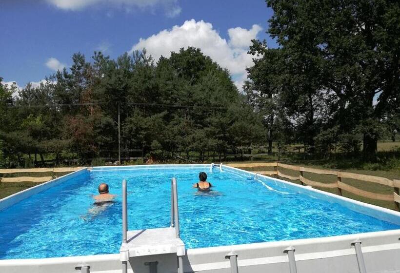 Hotel Agroturystyka Pod Modrzewiami