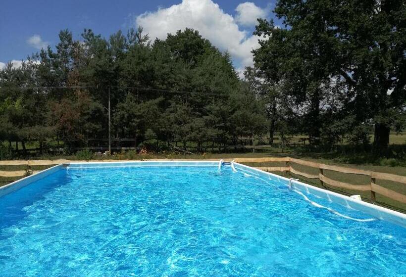 Hotel Agroturystyka Pod Modrzewiami