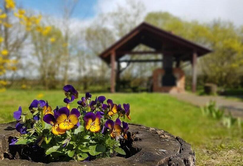 Hotel Agroturystyka Pod Modrzewiami