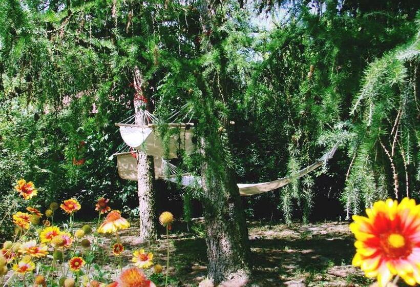 Hotel Agroturystyka Pod Modrzewiami