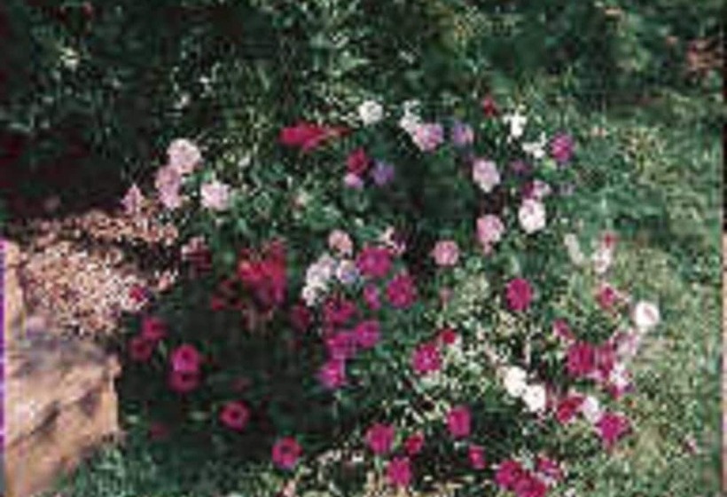 ホテル Chesapeake Inn Of Lenox