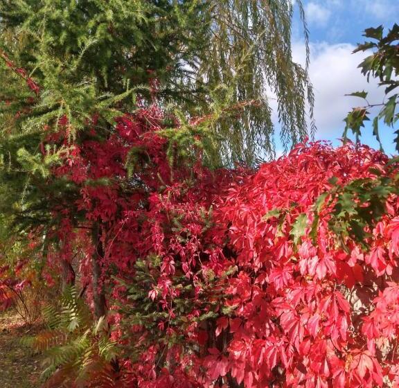 Hotel Dom Wczasowy Pięciu Pomostów I Domki Letniskowe